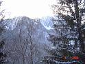 Austrian Alps (7)